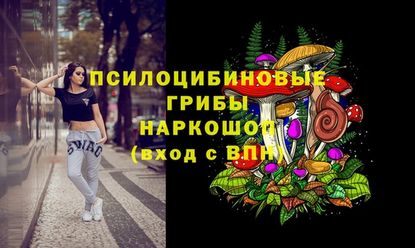 таблы Краснослободск